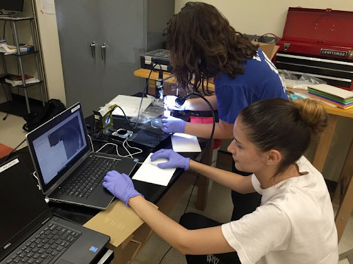 Physics students working in a lab setting