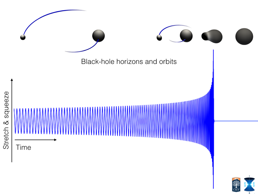 Black hole merger model